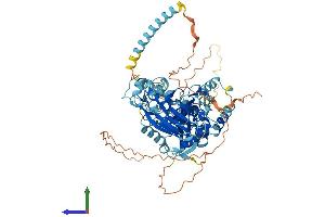AlphaFold protein structure predicition of Human Recombinant NOA1 Protein, UniprotID Q8NC60