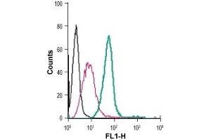 Cell surface detection of CysLTR1 in live intact mouse J774 macrophage cells: (black line) Cells.
