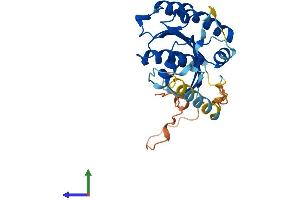 AlphaFold protein structure predicition of Human Recombinant RASL11B Protein, UniprotID Q9BPW5