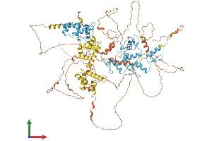 AlphaFold protein structure predicition of Human Recombinant ZKSCAN2 Protein, UniprotID Q63HK3