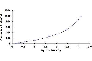 Typical standard curve (BMP2 Kit ELISA)