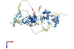 AlphaFold protein structure predicition of Mouse Recombinant Mta1 Protein, UniprotID Q8K4B0