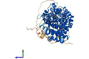 AlphaFold protein structure predicition of Mouse Recombinant Ttc39b Protein, UniprotID Q8BYY4
