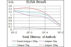ELISA image for anti-Integrin Alpha2b (CD41) (AA 45-149) antibody (ABIN1844101) (Integrin Alpha2b anticorps  (AA 45-149))
