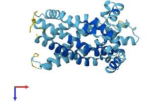 AlphaFold protein structure predicition of Mouse Recombinant Slc25a15 Protein, UniprotID Q9WVD5