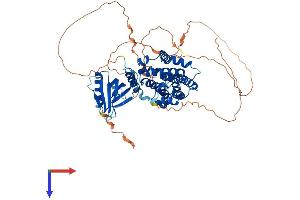AlphaFold protein structure predicition of Mouse Recombinant Ralgps1 Protein, UniprotID A2AR50