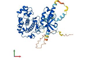 AlphaFold protein structure predicition of Human Recombinant STK32B Protein, UniprotID Q9NY57