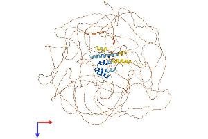 AlphaFold protein structure predicition of Mouse Recombinant Tcof1 Protein, UniprotID O08784