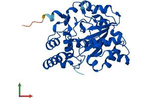 AlphaFold protein structure predicition of Mouse Recombinant Sult1e1 Protein, UniprotID P49891