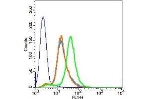 HCCLM3 cells probed with Rabbit Anti-PEPT1 Polyclonal Antibody, Unconjugated  at 1:100 for 30 minutes followed by incubation with a conjugated secondary -FITC) (green) for 30 minutes compared to control cells (blue), secondary only (light blue) and isotype control (orange).