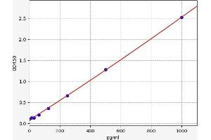 Typical standard curve (CCL13 Kit ELISA)