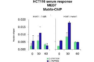 Quiescent human colon carcinoma HCT116 cultures were treated with 10 % FBS for three time points (0, 15, 30min) or (0, 30, 60min) were used in Matrix-ChIP and real-time PCR assays at EGR1 gene (Exon1) and 15kb upstream site.