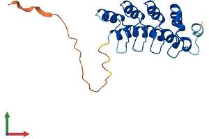 AlphaFold protein structure predicition of Human Recombinant ANKRD39 Protein, UniprotID Q53RE8