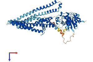 AlphaFold protein structure predicition of Human Recombinant ABCD4 Protein, UniprotID O14678