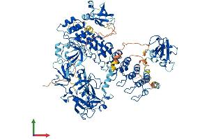 AlphaFold protein structure predicition of Mouse Recombinant Mib1 Protein, UniprotID Q80SY4