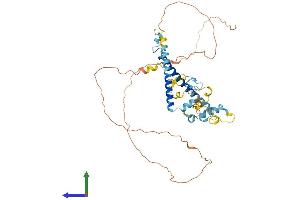 AlphaFold protein structure predicition of Mouse Recombinant Cir1 Protein, UniprotID Q9DA19 (CIR1 Protein (AA 1-450) (His tag))