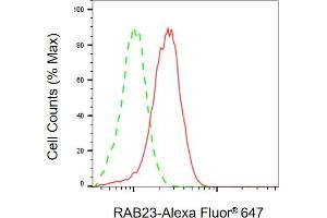 Flow cytometric analysis of RAB23 expression in HAP-1 cells using RAB23 antibody (ABIN7800091), 1:2,000). (RAB23 anticorps)