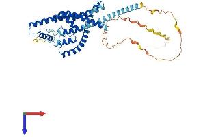 AlphaFold protein structure predicition of Human Recombinant KCNK4 Protein, UniprotID Q9NYG8