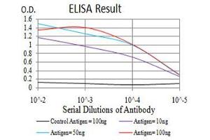 Black line: Control Antigen (100 ng),Purple line: Antigen (10 ng), Blue line: Antigen (50 ng), Red line:Antigen (100 ng) (SH3GL1 anticorps  (AA 12-119))