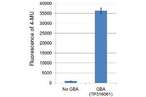 Bioactivity measured with Activity Assay