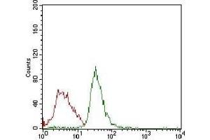 Flow cytometric analysis of Jurkat cells using RB1 mouse mAb (green) and negative control (red).