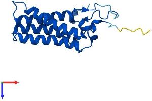 AlphaFold protein structure predicition of Human Recombinant ORMDL3 Protein, UniprotID Q8N138