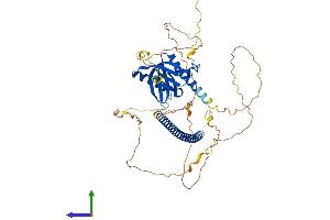 AlphaFold protein structure predicition of Human Recombinant NOS1AP Protein, UniprotID O75052