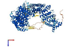 AlphaFold protein structure predicition of Human Recombinant IPO7 Protein, UniprotID O95373