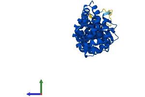 AlphaFold protein structure predicition of Mouse Recombinant Rsph14 Protein, UniprotID Q9D3W1