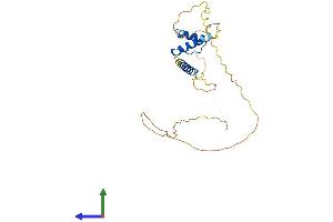 AlphaFold protein structure predicition of Human Recombinant EMD Protein, UniprotID P50402