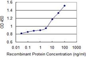 Detection limit for recombinant GST tagged ARSB is 1 ng/ml as a capture antibody. (Arylsulfatase B anticorps  (AA 166-265))