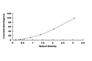 Syndecan 1 (SDC1) ELISA Kit