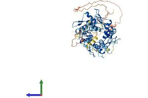 AlphaFold protein structure predicition of Human Recombinant ZNF136 Protein, UniprotID P52737