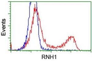 HEK293T cells transfected with either RC208360 overexpress plasmid (Red) or empty vector control plasmid (Blue) were immunostained by anti-RNH1 antibody (ABIN2453614), and then analyzed by flow cytometry. (RNH1 anticorps)