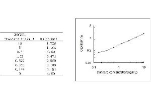 Leukocyte-Associated Immunoglobulin-Like Receptor 1 (LAIR1) ELISA Kit