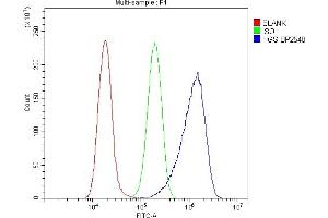 Flow Cytometry analysis of A549 cells using anti-HGS antibody (ABIN7601205).