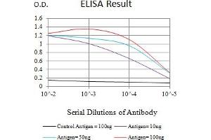 Black line: Control Antigen (100 ng),Purple line: Antigen (10 ng), Blue line: Antigen (50 ng), Red line:Antigen (100 ng)