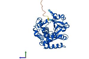AlphaFold protein structure predicition of Human Recombinant SULT1C2 Protein, UniprotID O00338