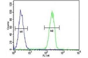 Caspase-5 antibody flow cytometric analysis of MDA-MB231 cells (right histogram) compared to a negative control cell (left histogram).