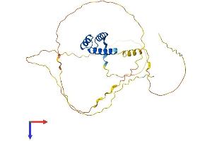 AlphaFold protein structure predicition of Mouse Recombinant Meox2 Protein, UniprotID P32443