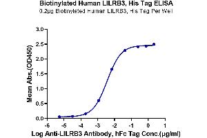 Immobilized Biotinylated Human LILRB3, His Tag at 2 μg/mL (100 μL/well) on the streptavidin precoated plate (5 μg/mL).