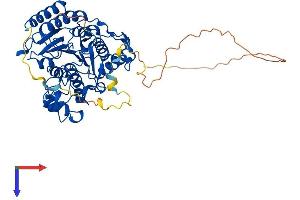 AlphaFold protein structure predicition of Human Recombinant HDAC2 Protein, UniprotID Q92769