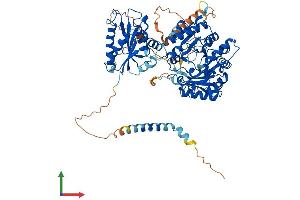 AlphaFold protein structure predicition of Human Recombinant TYW1 Protein, UniprotID Q9NV66