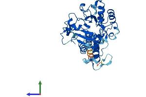 AlphaFold protein structure predicition of Human Recombinant ST3GAL3 Protein, UniprotID Q11203