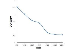 Antigen: 0. (TMEM161A anticorps  (AA 21-120))