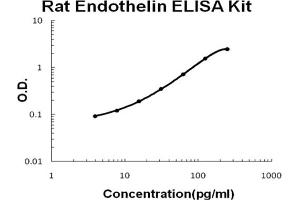 Rat Endothelin Accusignal ELISA Kit Rat Endothelin AccuSignal ELISA Kit standard curve. (Endothelin Kit ELISA)