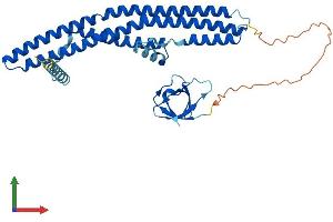 AlphaFold protein structure predicition of Mouse Recombinant Sh3glb1 Protein, UniprotID Q9JK48