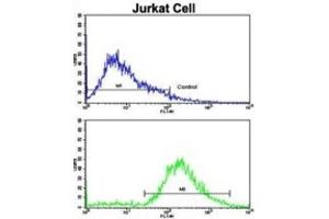 Flow Cytometry (FACS) image for anti-Vasoactive Intestinal Peptide (Vip) antibody (ABIN3002683)