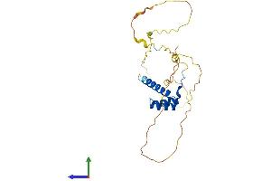 AlphaFold protein structure predicition of Mouse Recombinant Hoxb9 Protein, UniprotID P20615