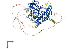 AlphaFold protein structure predicition of Human Recombinant ARHGAP28 Protein, UniprotID Q9P2N2